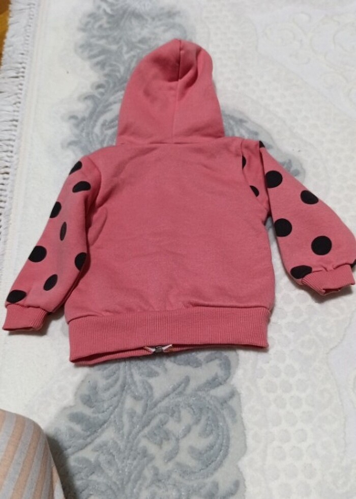 Tertemiz sorunsuz  - Görsel 3