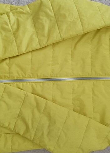 Limon company  - Görsel 7