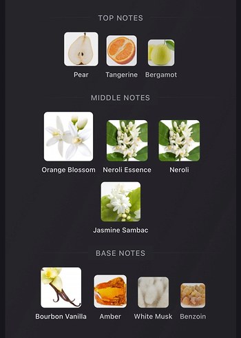 Prada Paradoxe Kadın Parfüm - Görsel 3