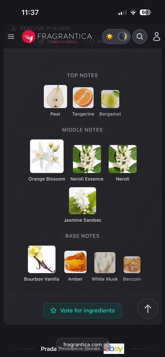 Prada Paradoxe Kadın Parfüm - Görsel 3