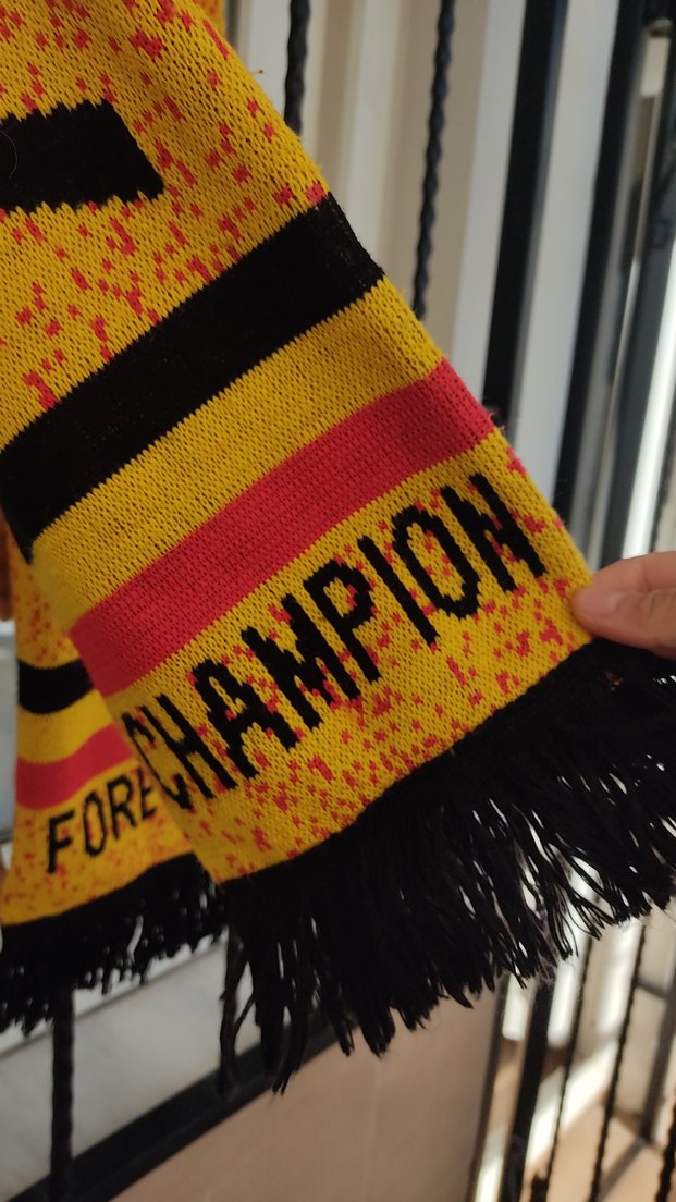 Galatasaray  champion erkek atkı - Görsel 3