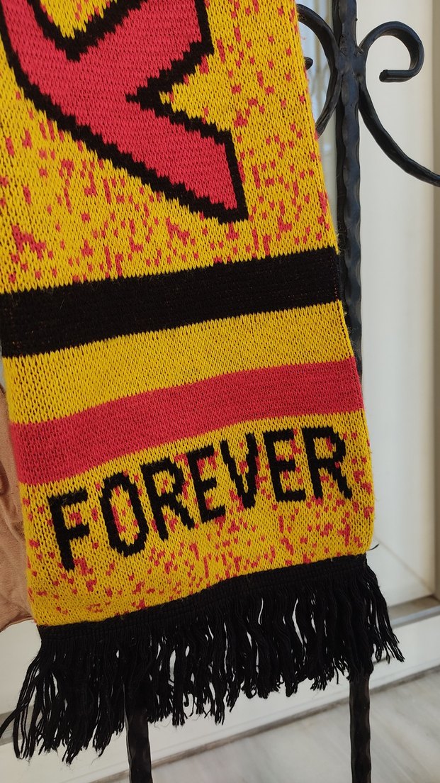 Galatasaray  champion erkek atkı - Görsel 2