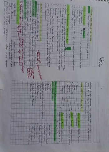 iç hastalıkları hemşireliği özet defter