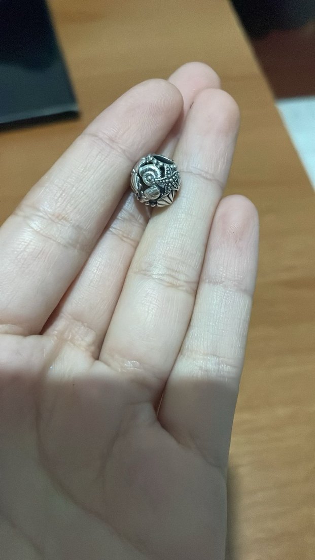 Pandora charm - Görsel 2