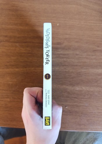  Vadedilmiş Yokyer Manga Cilt 1