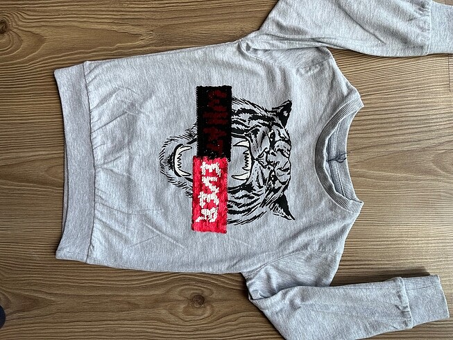 Erkek Çocuk Sweatshirt - Görsel 2