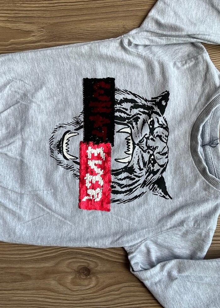 Erkek Çocuk Sweatshirt - Görsel 2