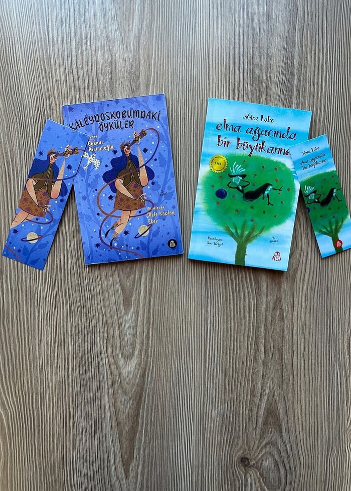 4.Sınıf Okuma Kitabı - Görsel 2