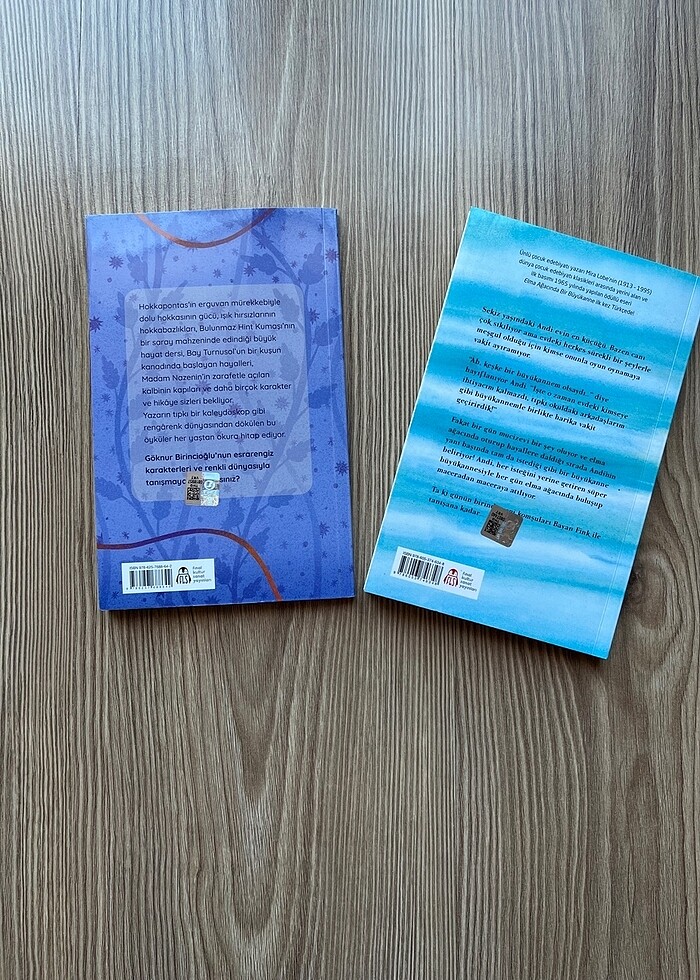 4.Sınıf Okuma Kitabı - Görsel 4