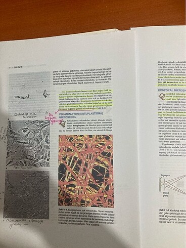 Beden Renk Temel histoloji kitabı