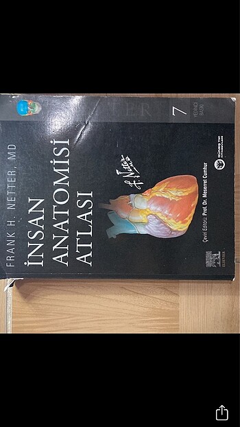 İnsan Anatomisi Atlası Netter