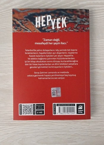 HEPYEK - Seray Şahiner Roman