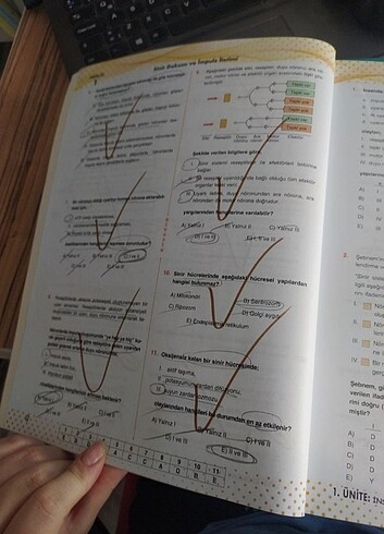 11.sınıf biyotik biyoloji test kitabı - Görsel 3