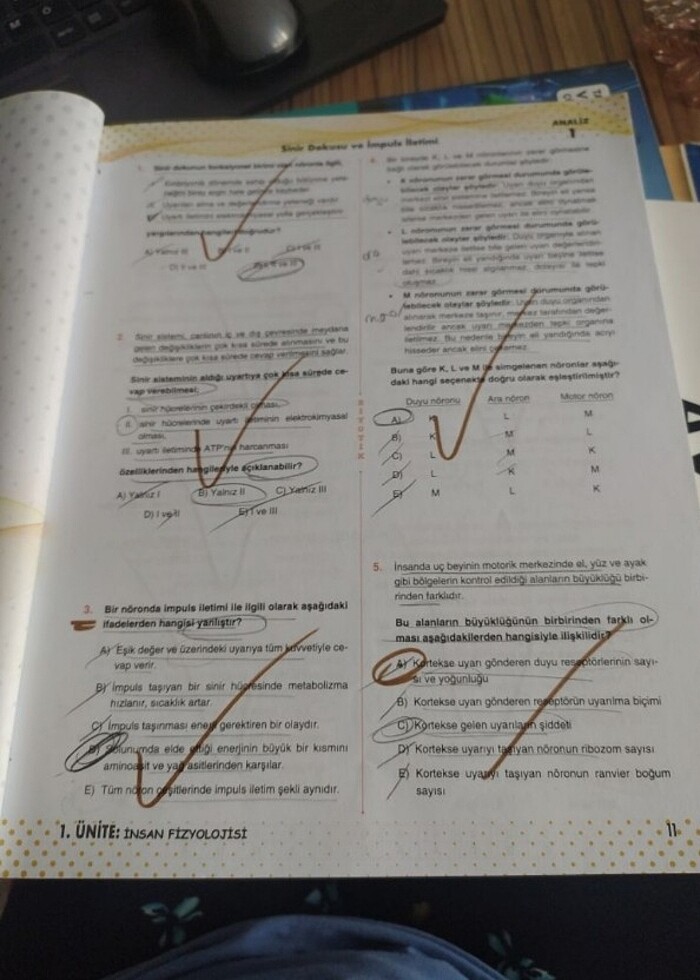 11.sınıf biyotik biyoloji test kitabı - Görsel 4