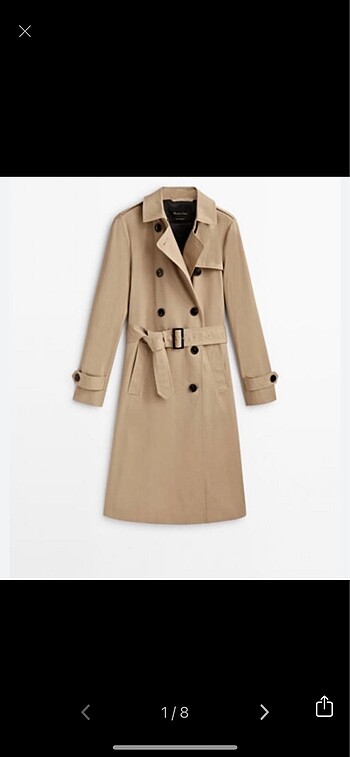 Massimo dutti trench