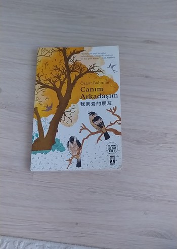 Canım Arkadaşım - Özgür Balpınar
