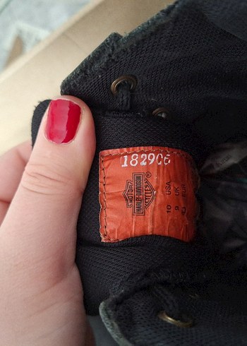 Harley Davidson - Görsel 3