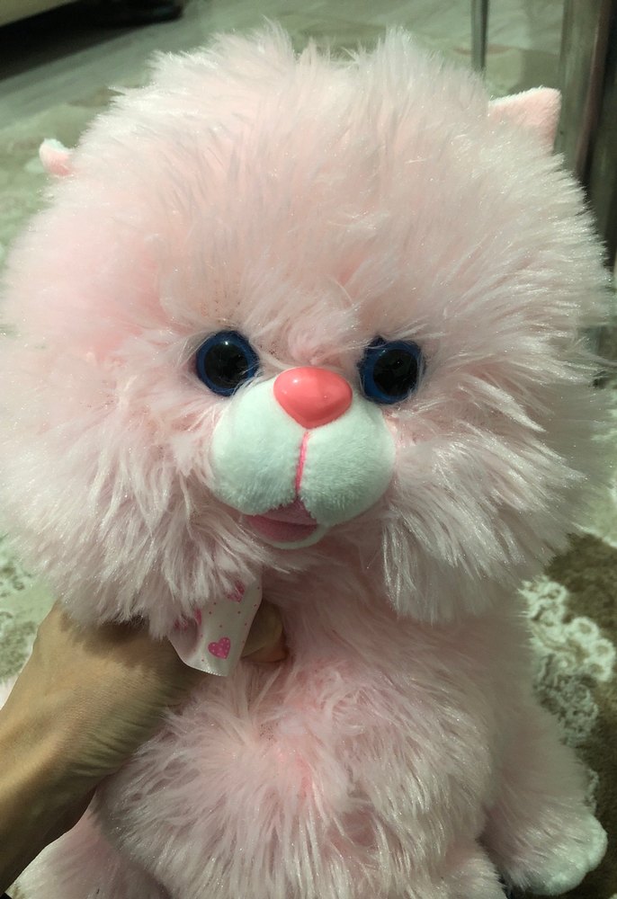 Pembe Peluş Oyuncak Ayıcık - Görsel 2