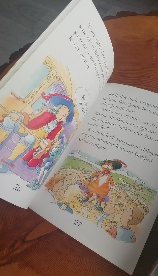 Çizmeli Kedi - Çocuk Kitabı - Görsel 3