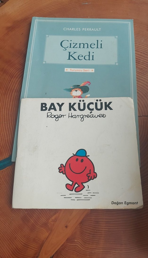 Çizmeli Kedi - Çocuk Kitabı - Görsel 4