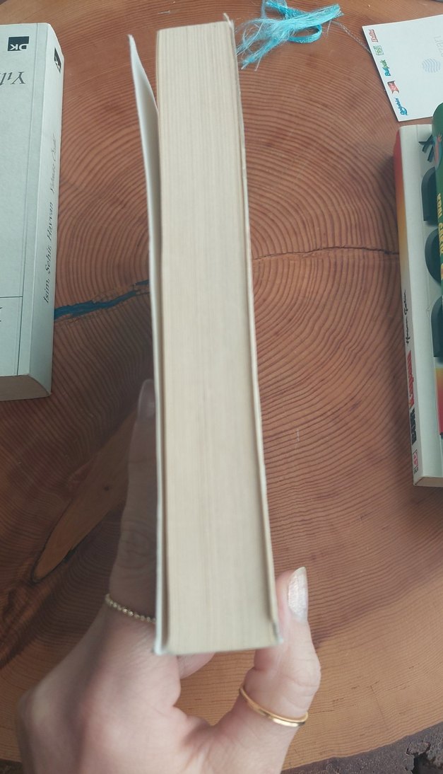 İncir Kuşları - Sinan Akyüz - Görsel 3