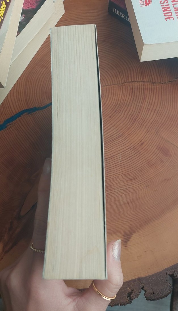 Martin Eden - Jack London - Görsel 2