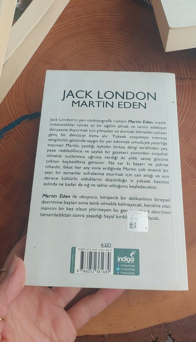 Martin Eden - Jack London - Görsel 3