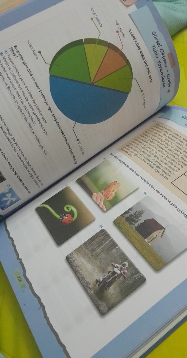 7. Sınıf Değerli Paragraf Soru Bankası - Görsel 4