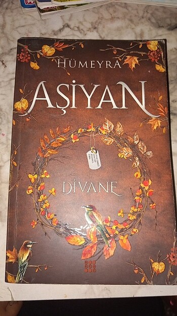 Asiyan 1 ve 2 yeni
