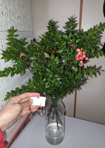 bayan küpesi - Görsel 2