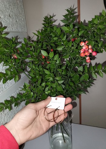 bayan küpesi - Görsel 4