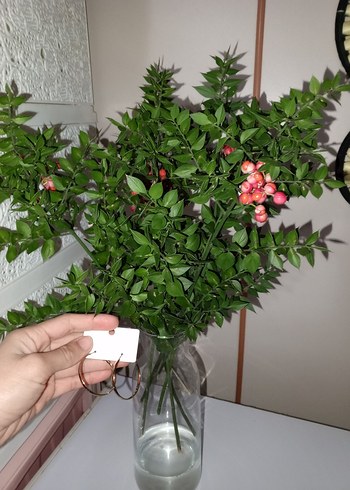 bayan küpesi - Görsel 3