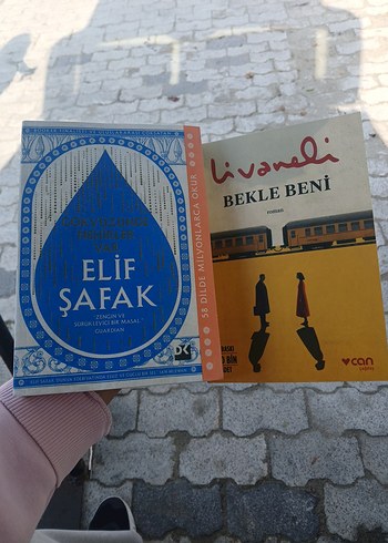 Elif Şafak ve Livaneli Romanları