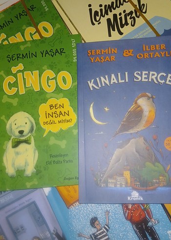 Çocuk Kitapları: Cingo ve Kınalı Serçe