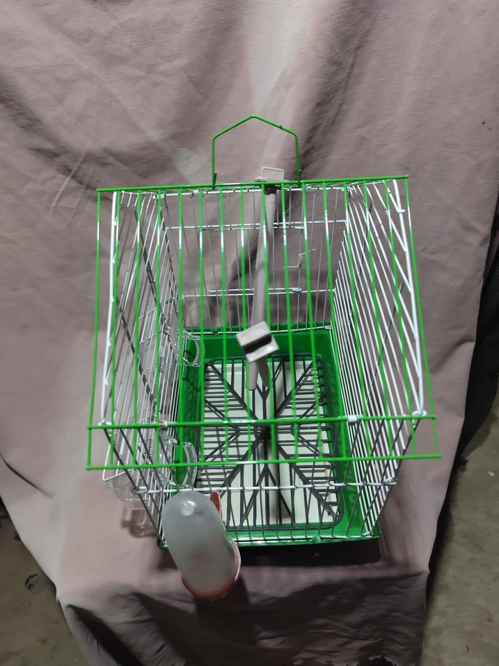 Renkli Yeşil Kuş Kafesi
sıfır ürün - Görsel 4