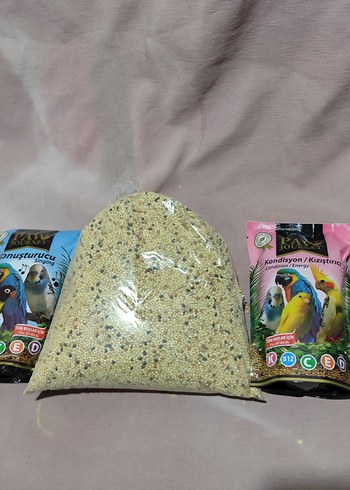 muhabbet Hint bülbülü papağan kuş yemi - Görsel 2