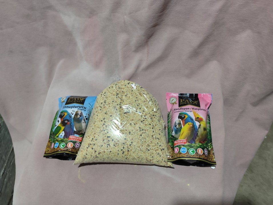 muhabbet Hint bülbülü papağan kuş yemi - Görsel 2