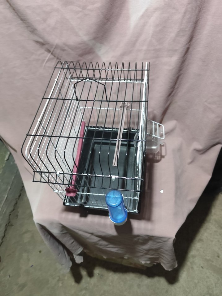 Gri Kuş Kafesi Yemlik ve Suluklu
sıfır ürün - Görsel 5