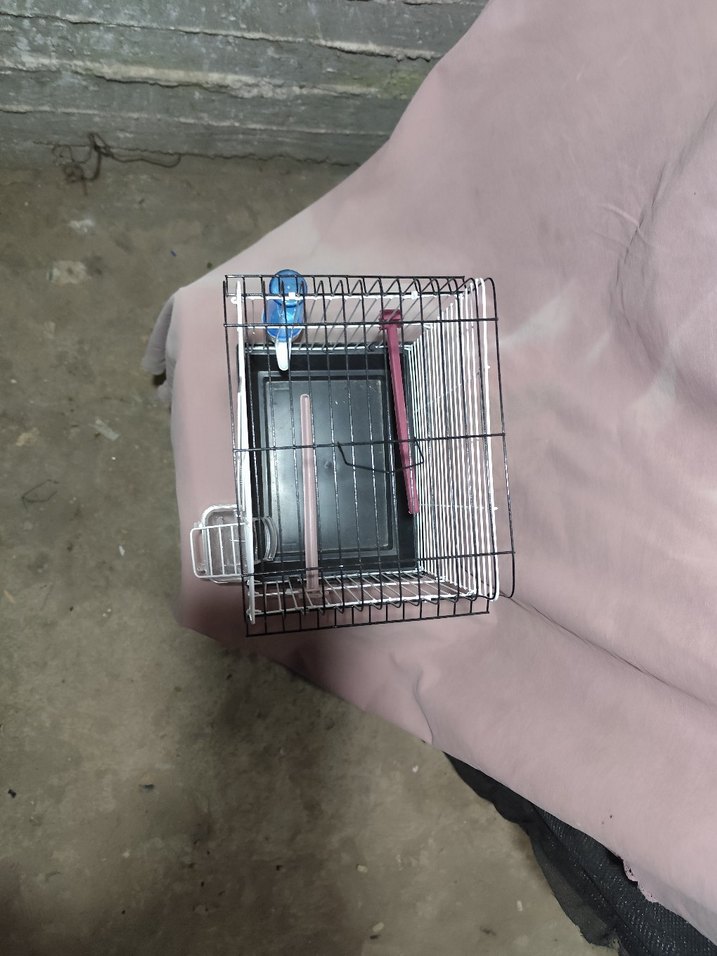 Gri Kuş Kafesi Yemlik ve Suluklu
sıfır ürün - Görsel 4