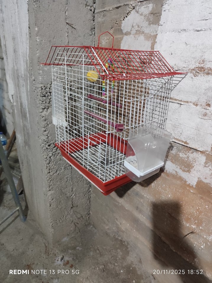 Renkli Kafesli Evcil Hayvan Kafesi - Görsel 2