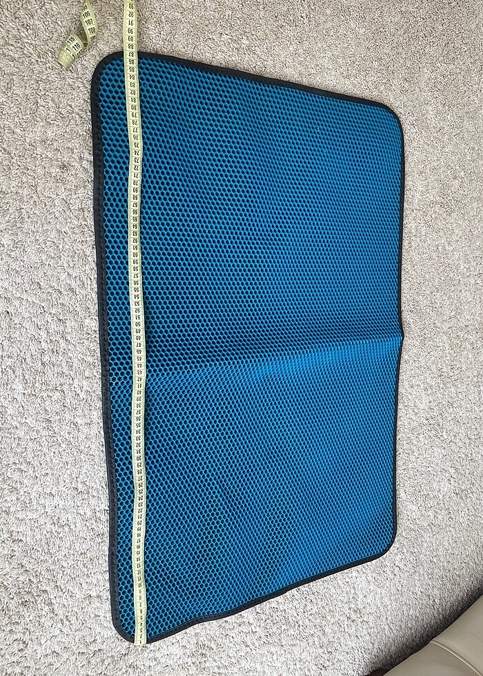 Kedi paspası - Görsel 2