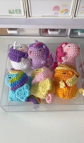 Beden Unicorn capybara