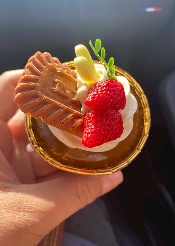 Buzdolabı magnet - Görsel 3