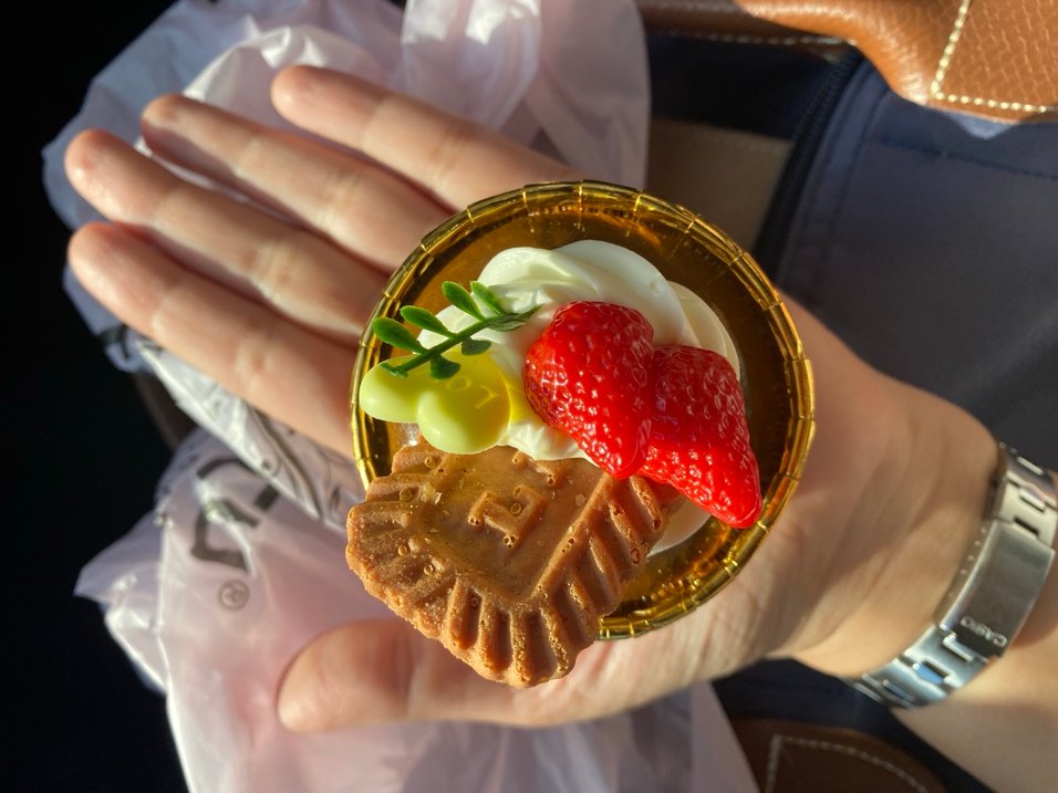 Buzdolabı magnet - Görsel 4