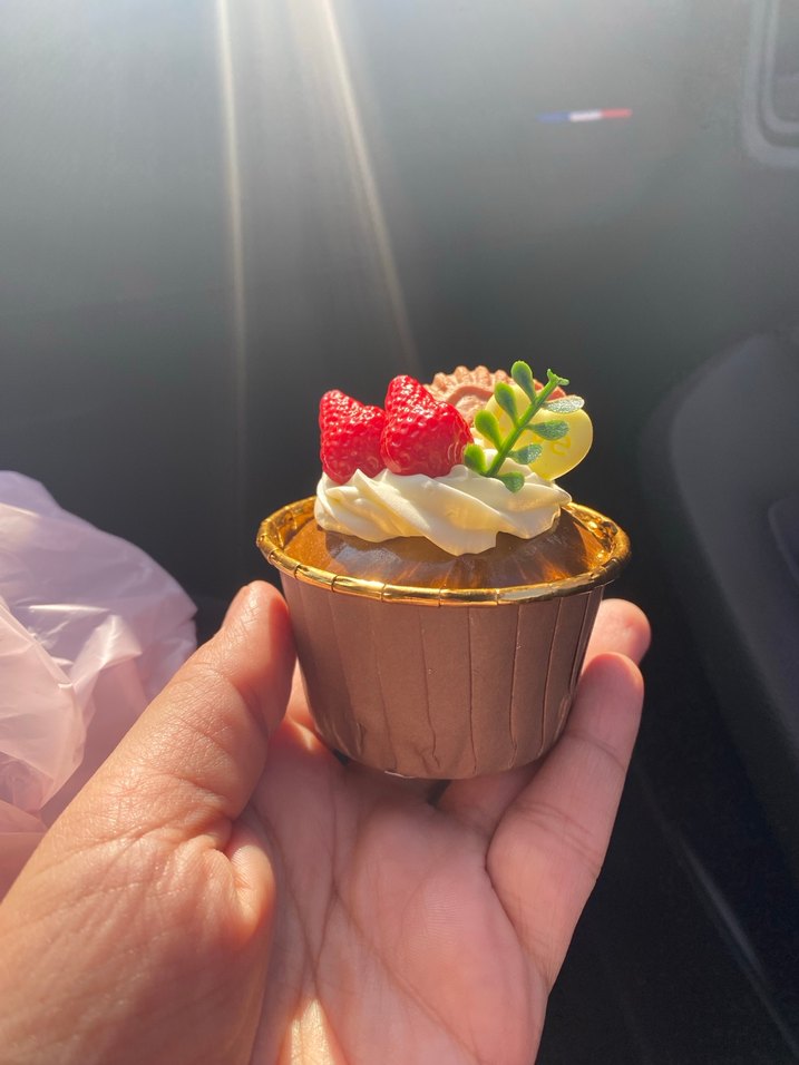 Buzdolabı magnet - Görsel 2