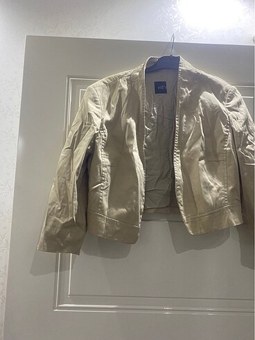 Zara Ceket
