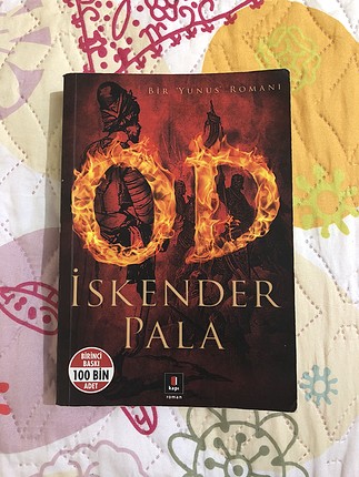 Diğer Kitap Roman