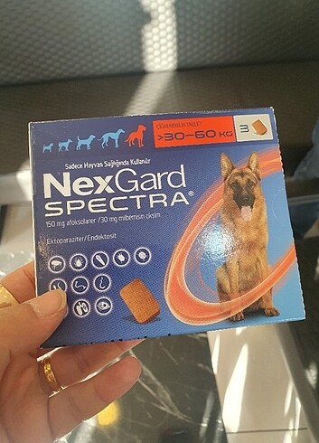 KÖPEK ÜRÜNLERİ 