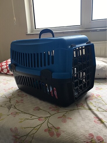 Kürek ve oyuncağı ile kedi pusedi