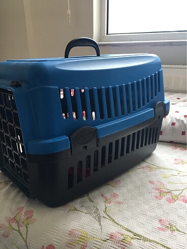  Beden Kürek ve oyuncağı ile kedi pusedi